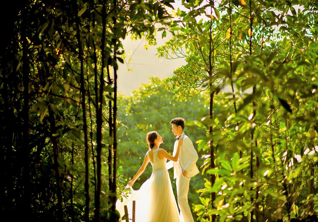 西表島・沖縄　フォトウェディング・挙式前撮影・結婚写真　マングローブ