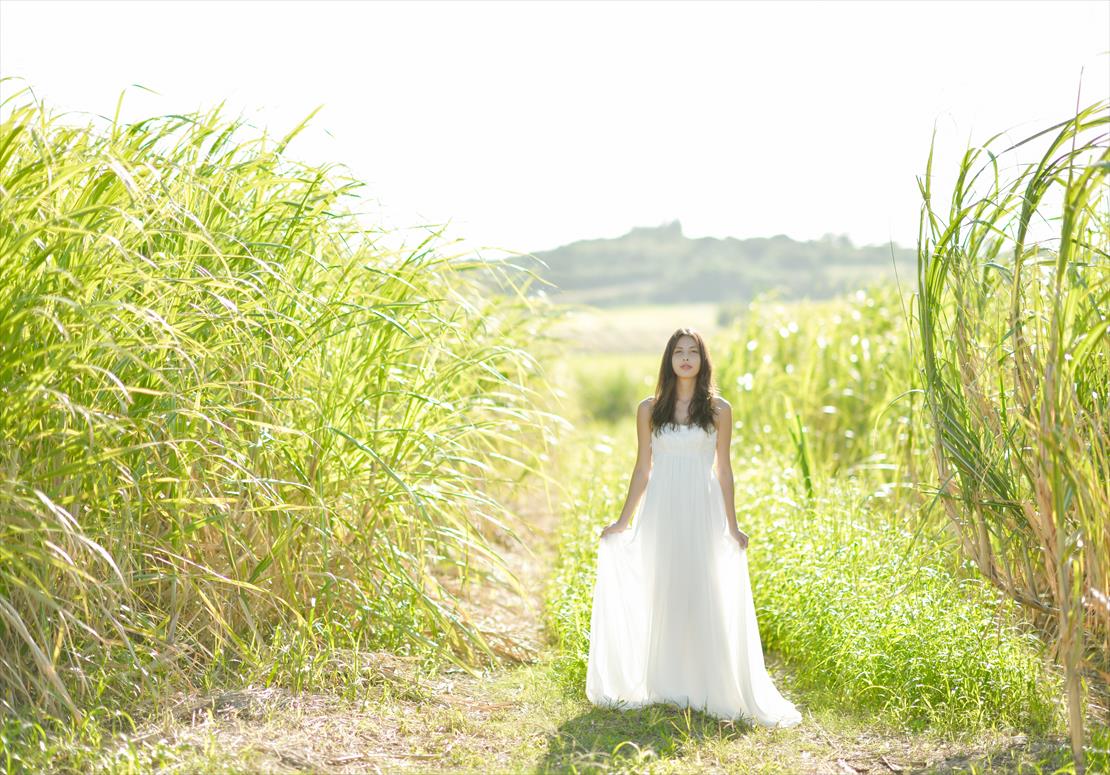 小浜島・沖縄　フォトウェディング・挙式前撮影・結婚写真　さとうきび畑