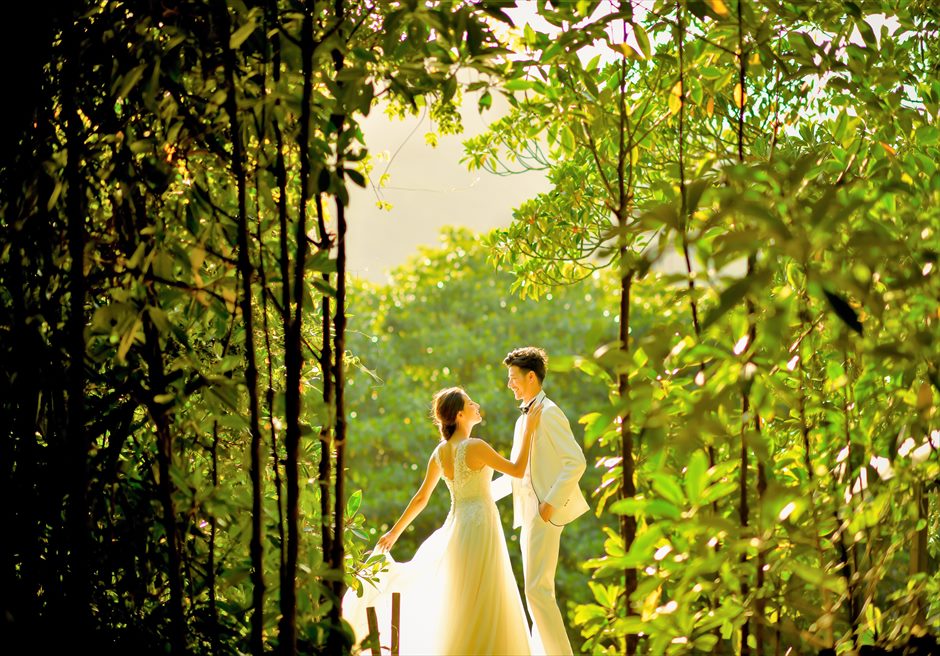 西表島　マングローブ・フォトウェディング・挙式前撮影・結婚写真