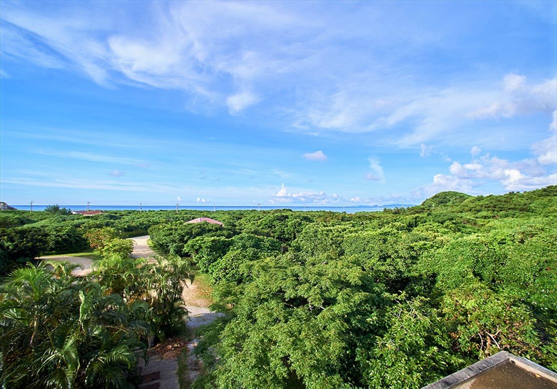 西表島ジャングル・ホテル・パイヌマヤ ルーフトップからの眺め