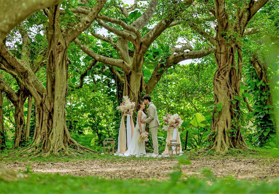 石垣島セレモニー・フォトウェディング・二人挙式・二人結婚式・ガジュマルの森
