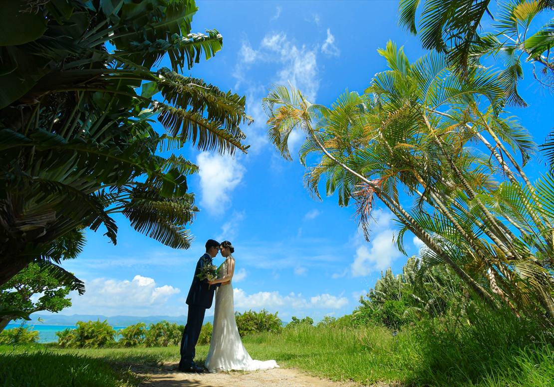 はいむるぶしフォトウェディング