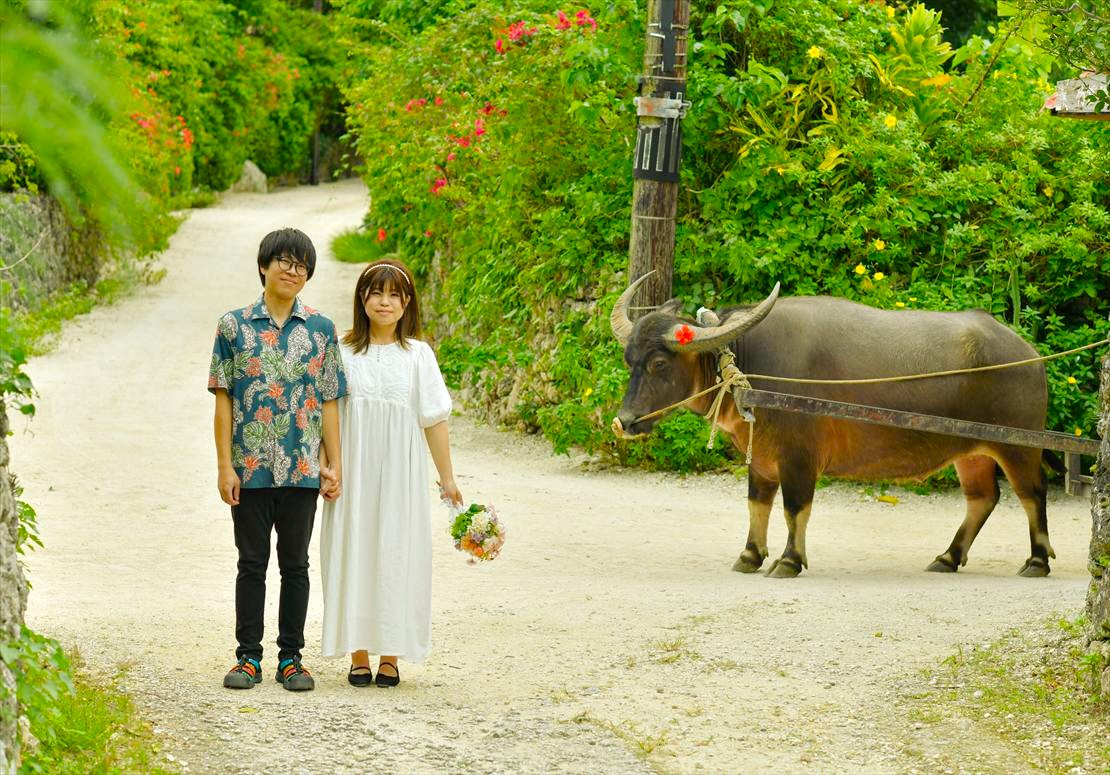 竹富島フォトウェディング