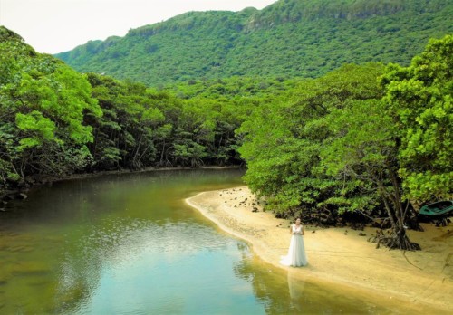 クーラ川①ドローン撮影 西表島フォトウェディング クーラ川①ドローン撮影