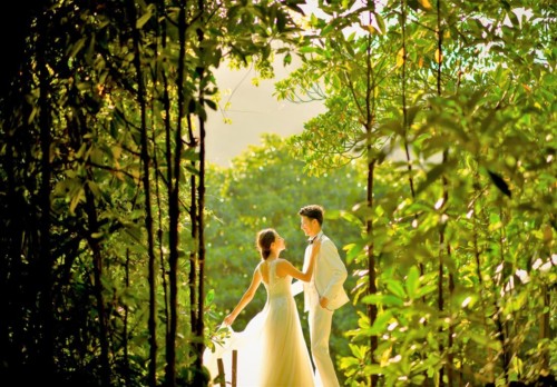 パイヌマヤ・マングローブ② 西表島フォトウェディング パイヌマヤ・マングローブ②