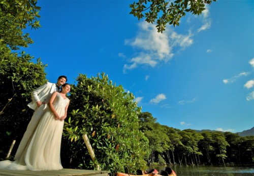 パイヌマヤ・マングローブ④ 西表島フォトウェディング パイヌマヤ・マングローブ④