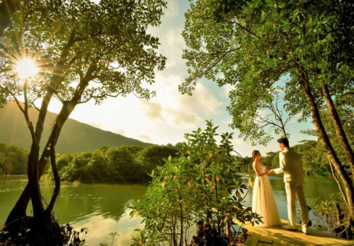 パイヌマヤ・マングローブ⑥アーチ装飾 西表島フォトウェディング パイヌマヤ・マングローブ⑥アーチ装飾